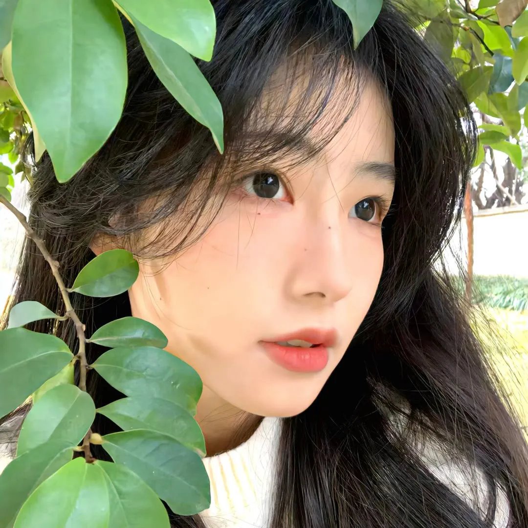 寻宝囧途