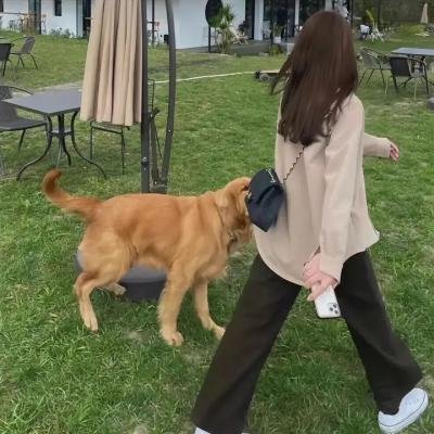 巴克·亚罗